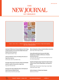 The New Journal of Urology 19(3)