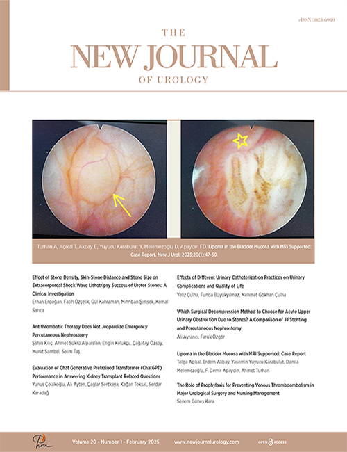 The New Journal of Urology 20(1)