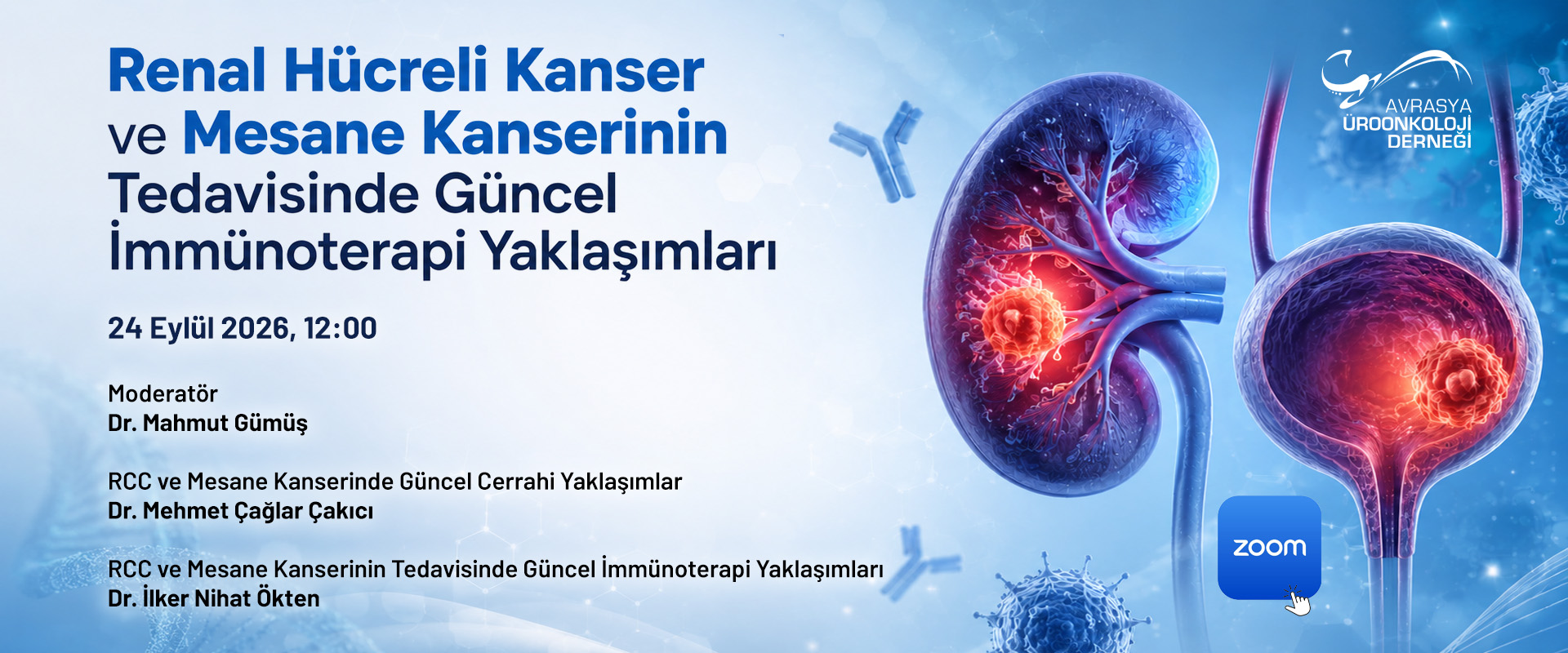 Renal Hücreli Kanser ve Mesane Kanserinin Zoom