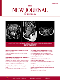 The New Journal of Urology 19(2)