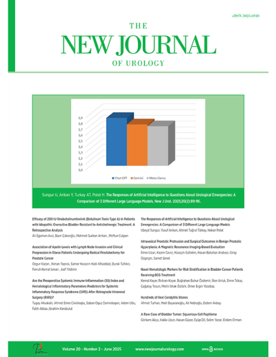 The New Journal of Urology 20(2)