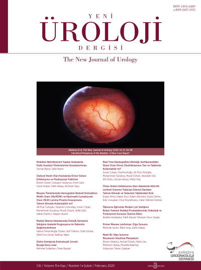 The New Journal of Urology Volume: 15 Number: 1
