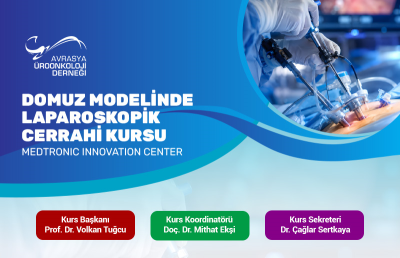 Domuz Modelinde Laparoskopik Cerrahi Kursu